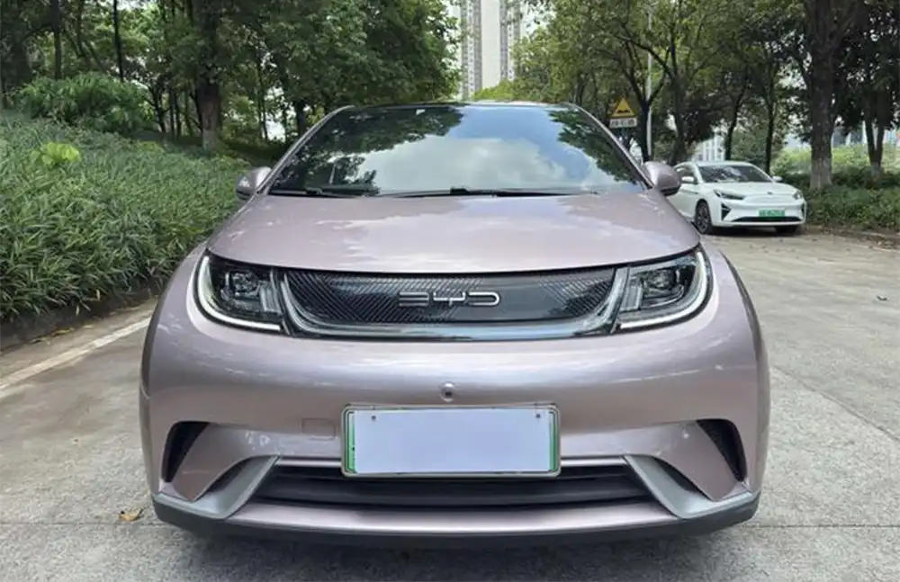 BYD Dolphin 2021 Fashion Edition usado