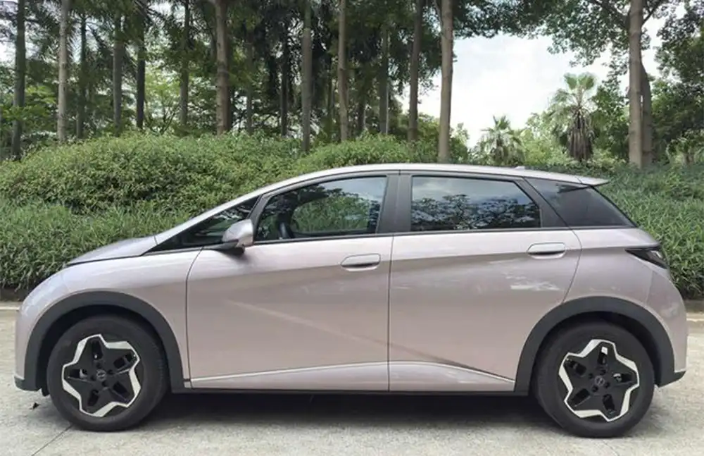 BYD Dolphin 2021 Fashion Edition usado