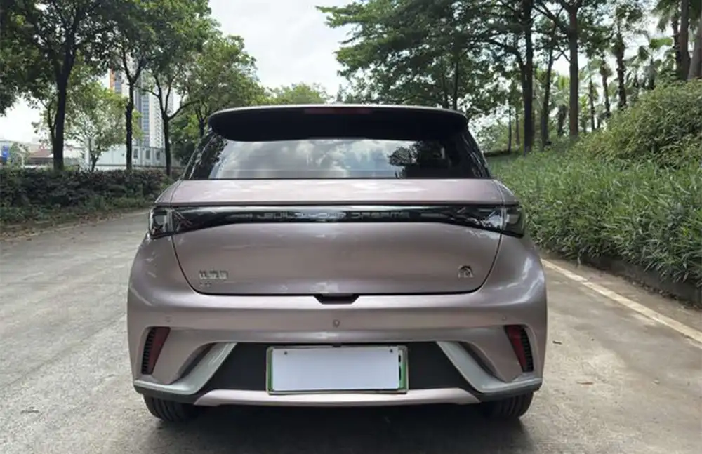 BYD Dolphin 2021 Fashion Edition usado