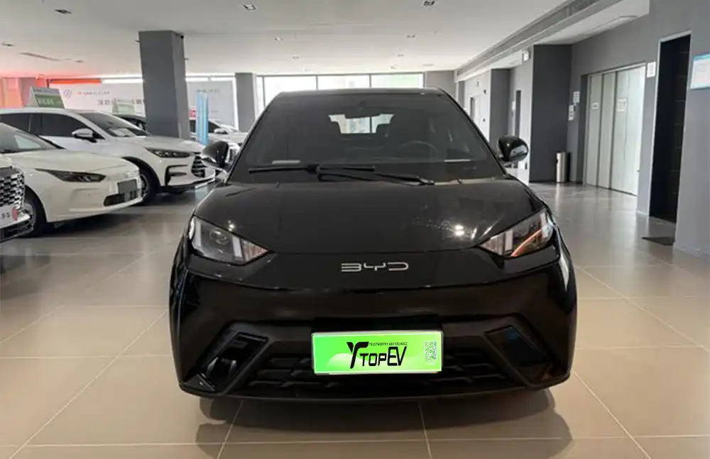 BYD Seagull 2023 Dynamic Edition usado