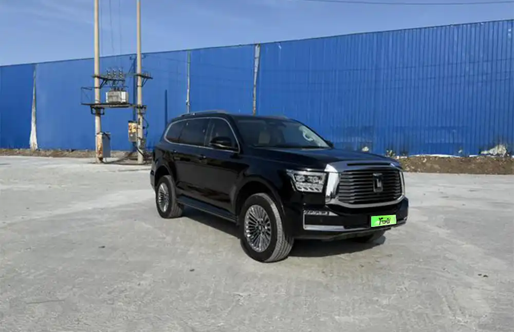 Tanque usado 500 2022 Edição Empresarial Zao Jing 5 lugares