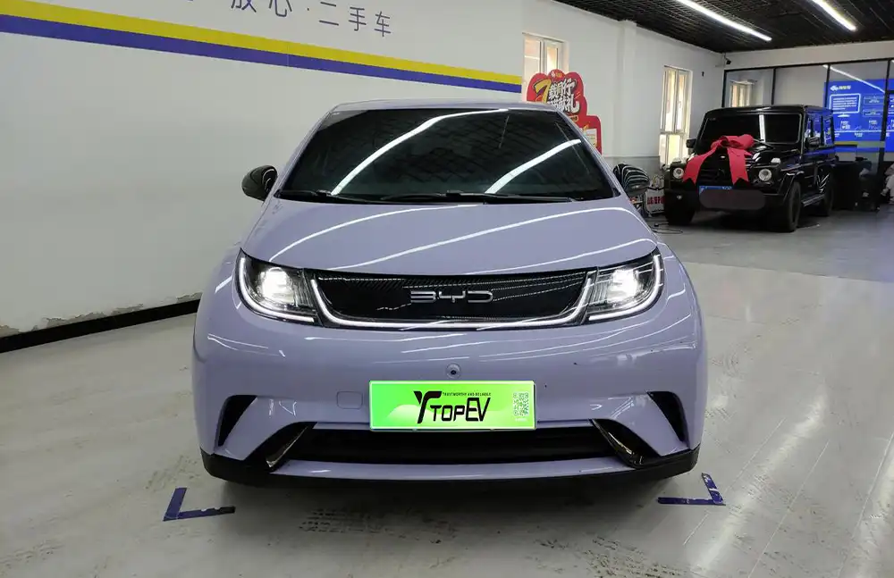 BYD Dolphin 2023 Freedom Edition usado