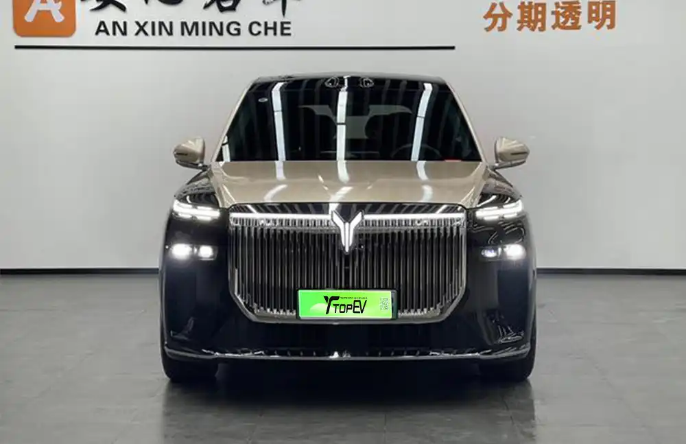 Voyan Talshan 2026 Max+ Edition usado